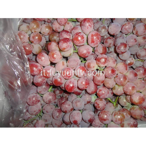 Nuova raccolta di uva rossa fresca e di buona qualità